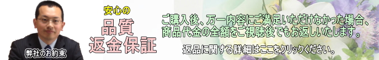 中学 数学 英語 教材 DVD 基礎 中1 中2 中3